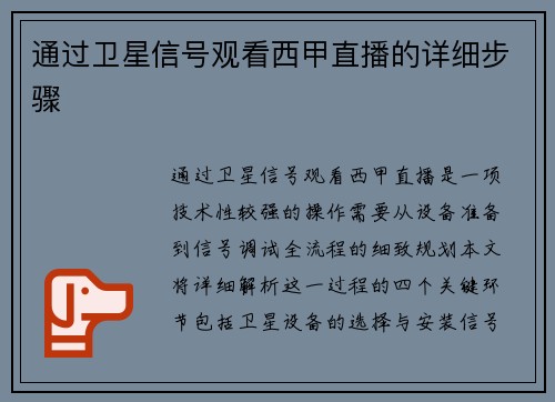 通过卫星信号观看西甲直播的详细步骤